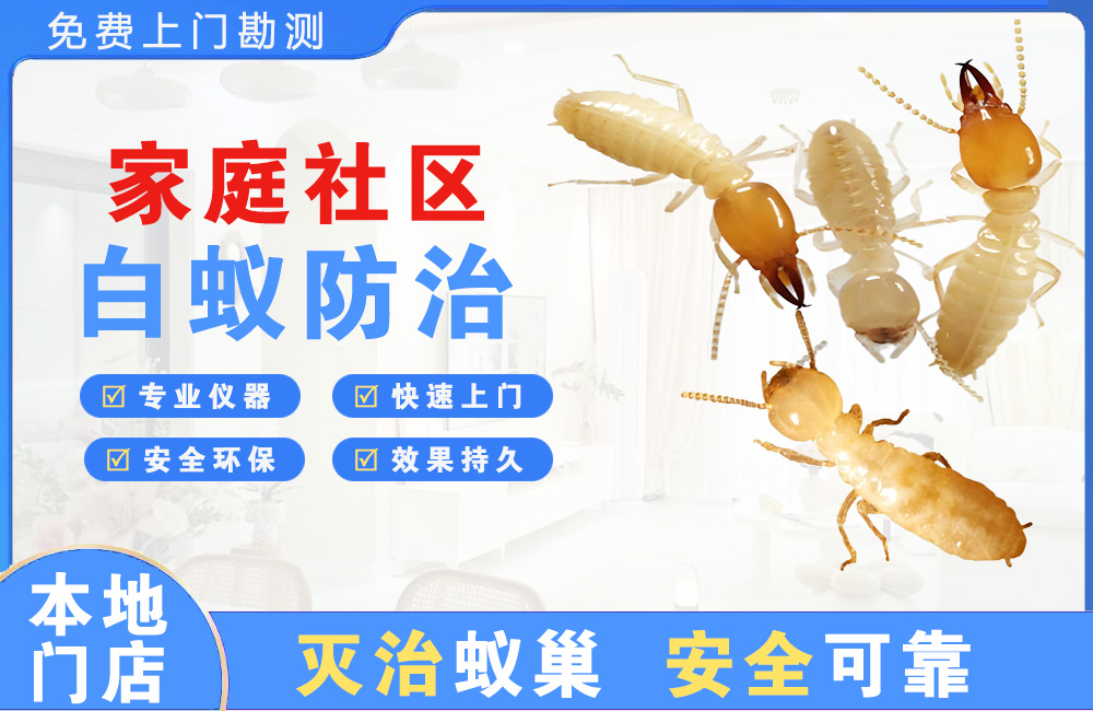 桂林家庭社区白蚁防治