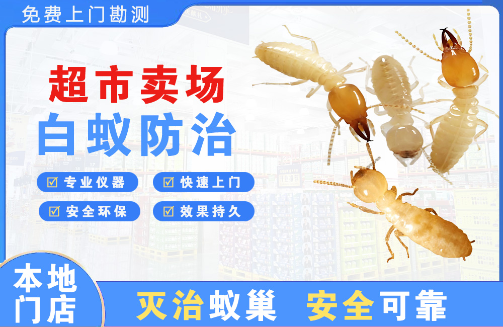 桂林超市卖场白蚁防治