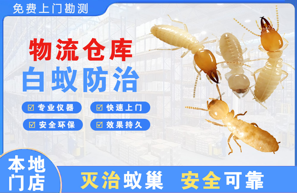 桂林物流仓库白蚁防治