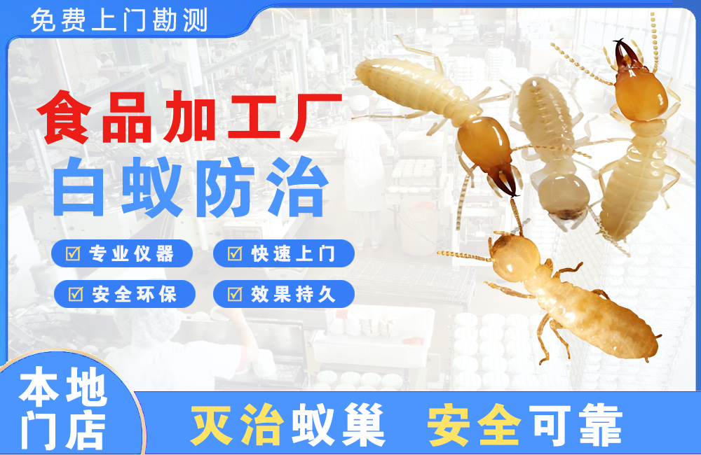 桂林食品加工厂白蚁防治