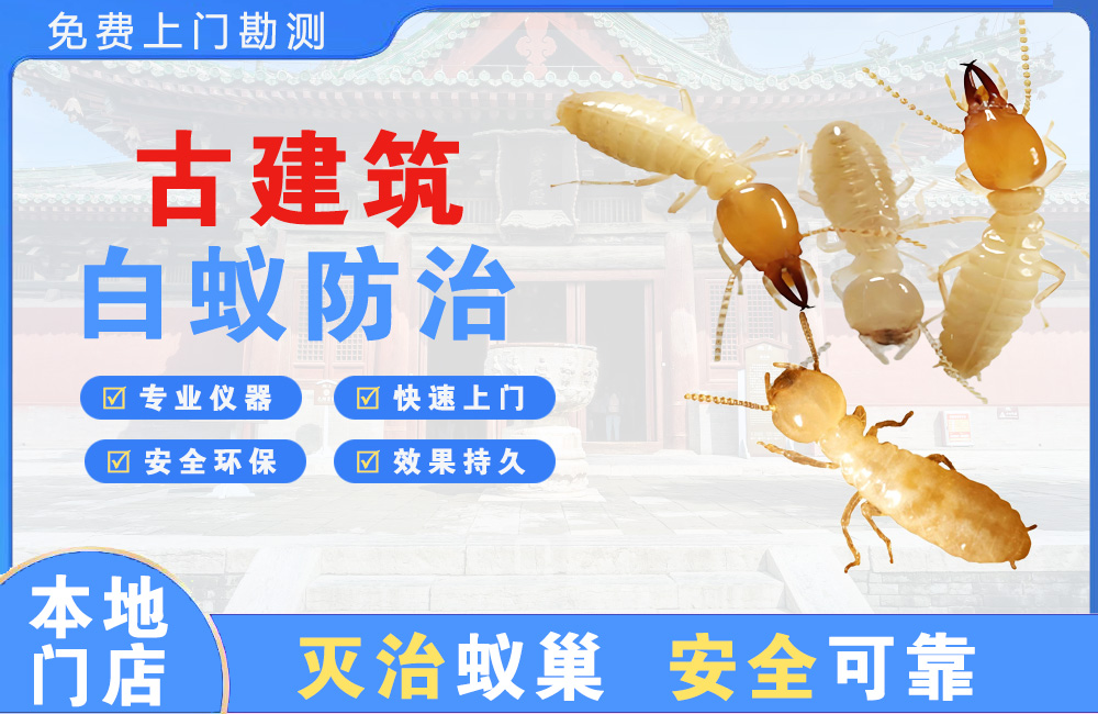 桂林古建筑白蚁防治