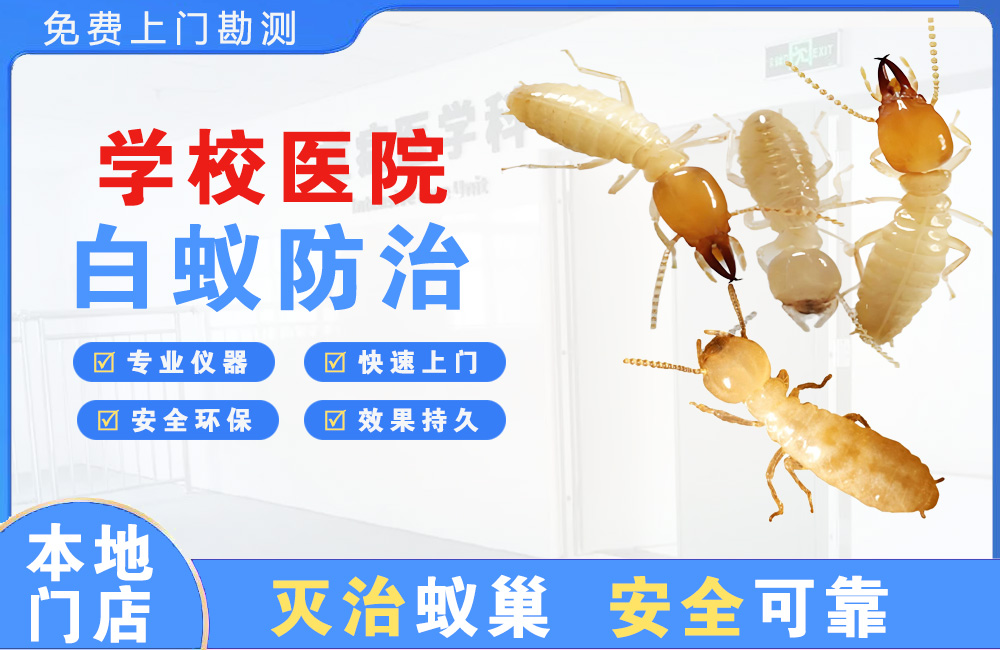 桂林学校医院白蚁防治