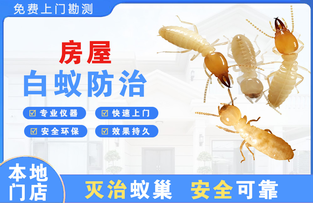 桂林房屋白蚁防治