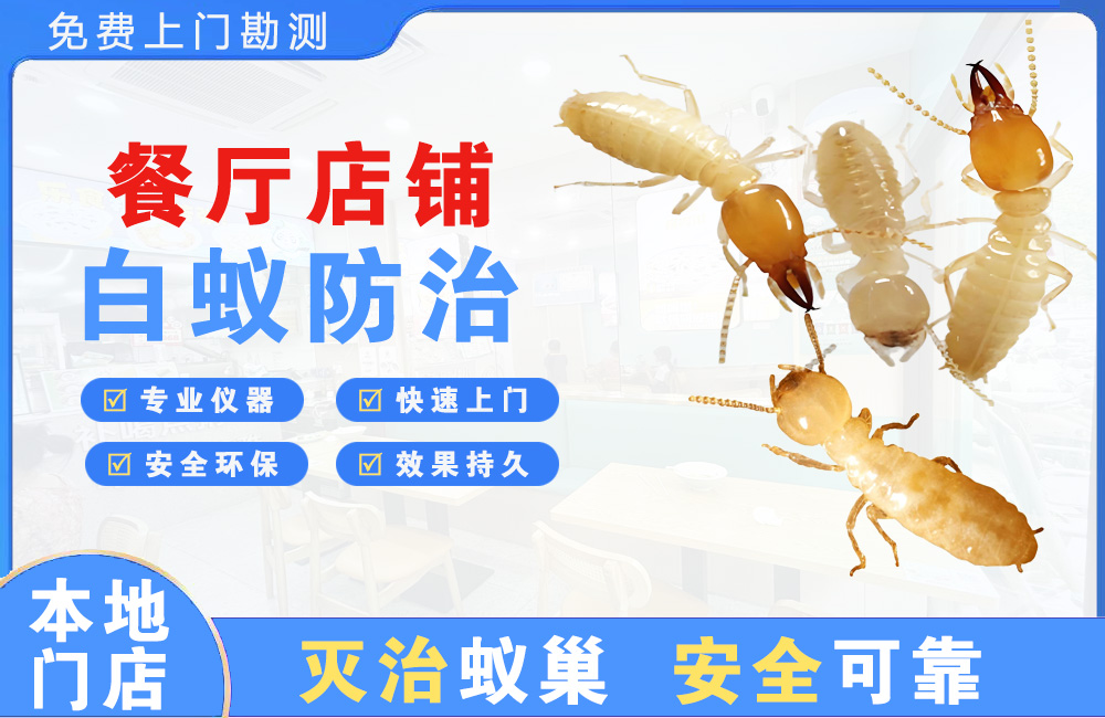 桂林餐厅店铺白蚁防治